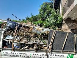 Shed Removal